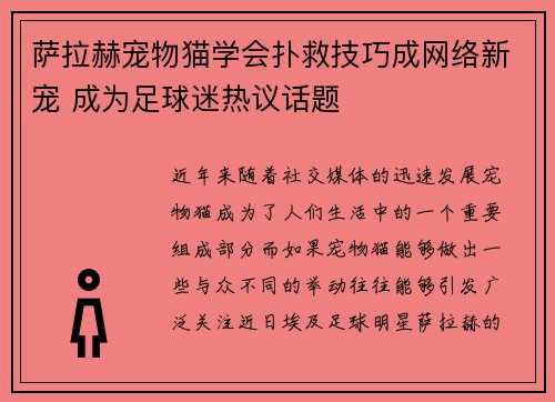 萨拉赫宠物猫学会扑救技巧成网络新宠 成为足球迷热议话题