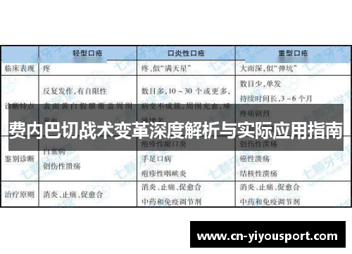 费内巴切战术变革深度解析与实际应用指南