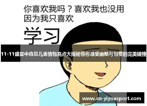 11-11盛宴中森贝儿表情包亮点大揭秘带你感受幽默与创意的完美碰撞